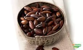 Castanha de baru torrada e salgada kg