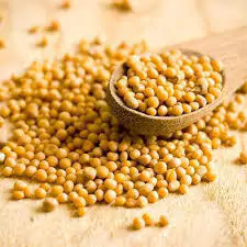 Mostarda em grão kg