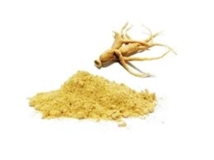 Ginseng em pó kg - comprar online