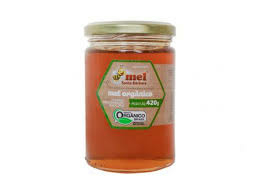 Mel orgânico santa Barbara embalagem de vidro 300 g