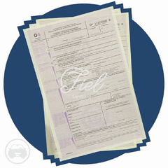 Formulario 04 autos