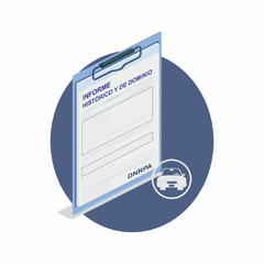 Informe histórico y de dominio autos
