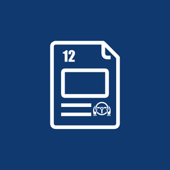 Formulario 12 autos en internet