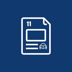 Formulario 11 autos en internet