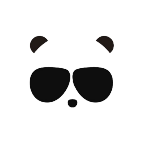 THE PANDA GLASSES