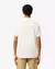 POLO LACOSTE - PH6006 - Status