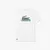 Imagem do CAMISETA LACOSTE - TH2508