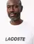 CAMISETA LACOSTE - TH2861 na internet