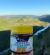 Composto de Mel e extrato de Própolis - comprar online