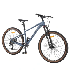 BICICLETA OVERTECH PEREGRINE SPORT ALUM R29 TALLE S - BICICLETERIA 213