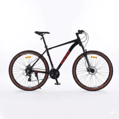 BICICLETA R29 OVER FORTIS GT TALLE L