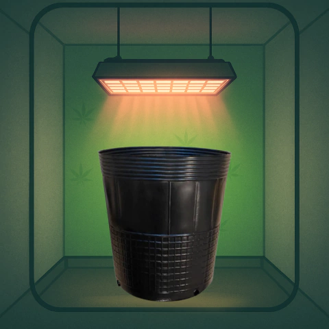 Maceta Soplada 7lt - comprar online