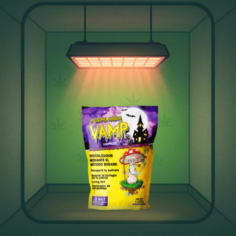 Vampkashi 1lt - comprar online