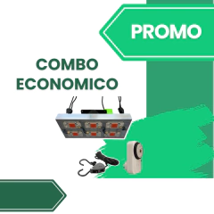 COMBO ECONÓMICO 300 w
