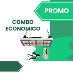 COMBO ECONÓMICO 400 w