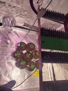 RM210-PRO 210 W OSRAM SUPER LIQUIDACIÓN en internet