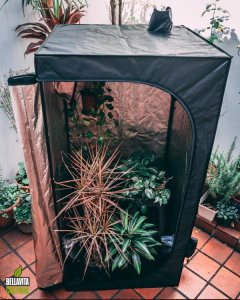 COMBO INDOOR PREMIUM en internet