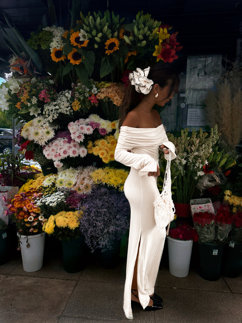 Aw25| the Varsovia dress - comprar online