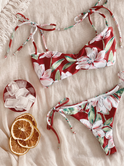 The Rame n14 - Apolo