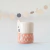 Gato chico coral - buy online