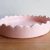 Plato grande nube rosa en internet