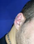 Fake piercing Snake na internet