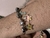 Pulseira Fenda do Bikini na internet