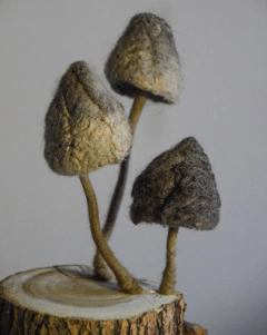 AMBIENTES º12 - solo para Argentina en internet