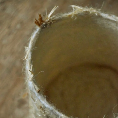 CONTENEDOR CARDO - solo para Argentina en internet