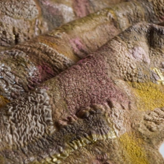 COLLAGE EN NUNO - SOLO PARA ARGENTINA en internet