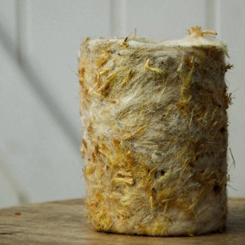 CONTENEDOR CARDO - solo para Argentina