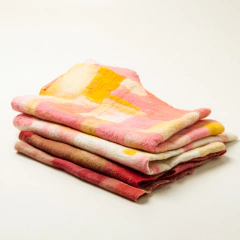 Imagen de EFECTO TORNASOL - curso online