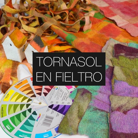 EFECTO TORNASOL - curso online