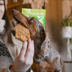 Mondongo - Crunch Nutritivo - comprar online