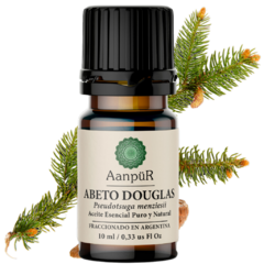 Abeto Douglas - comprar online