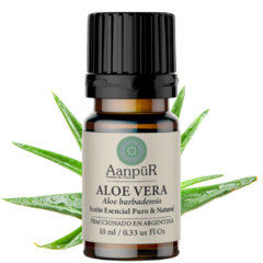 Aloe Vera - comprar online