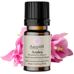 Azalea - comprar online