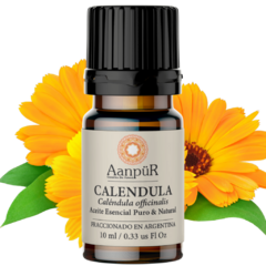 Caléndula - comprar online