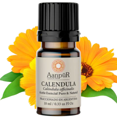 Caléndula - comprar online