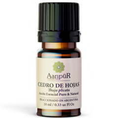 Cedro de Hojas - Thuja