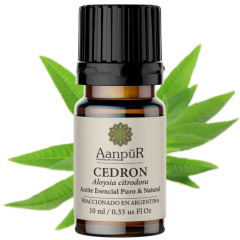 Cedrón - comprar online