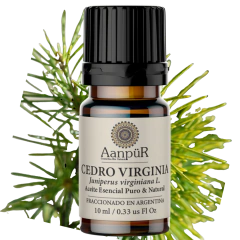 Cedro Virginia - comprar online