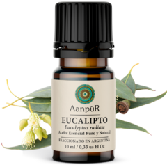 Eucalipto - comprar online