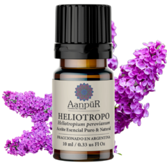 Heliotropo - comprar online