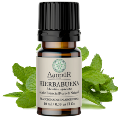 Hierbabuena - comprar online