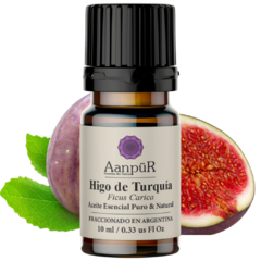 Higo de Turquía - comprar online