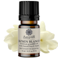 Jazmín Blanco - comprar online