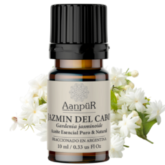 Jazmín del Cabo - comprar online