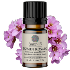 Jazmín Rosado - comprar online