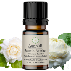 Jazmín Sambac - comprar online